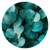 Чем отличается Articulor от других средств